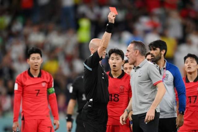 1669732142283085624.jpg 本托.jpg